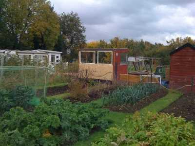 Our Plots