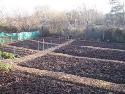 Cultivation