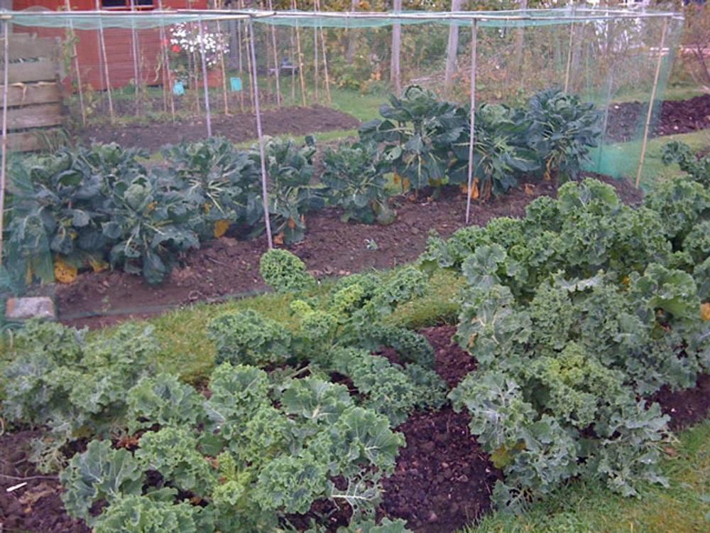 Plot 1