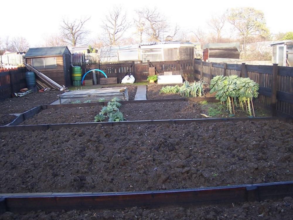 Plot 3