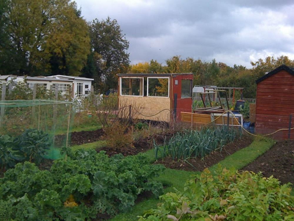 Plot 4