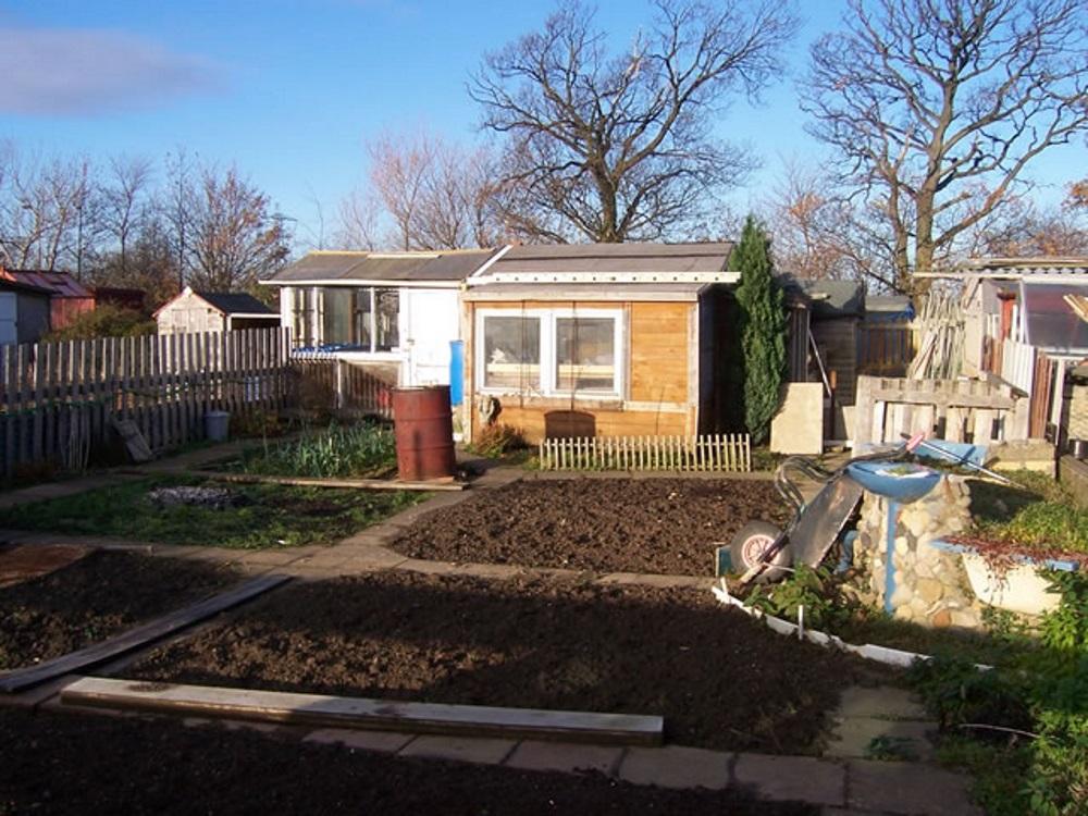 Plot 6