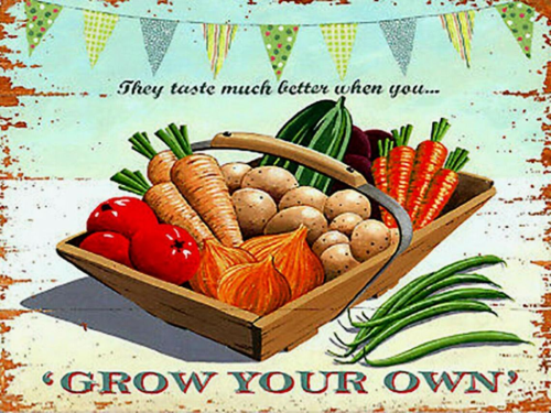 Grow your own