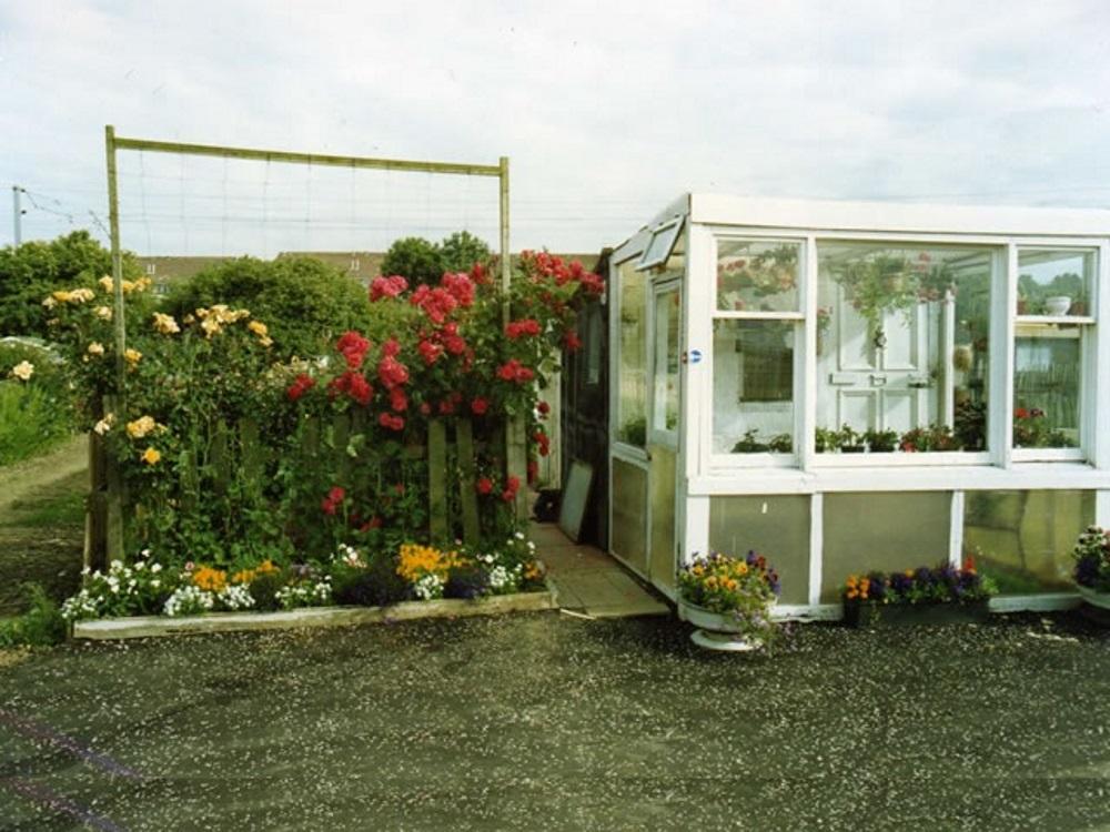 An older photograph of an allotment plot