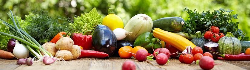 November gardening in East Scotland