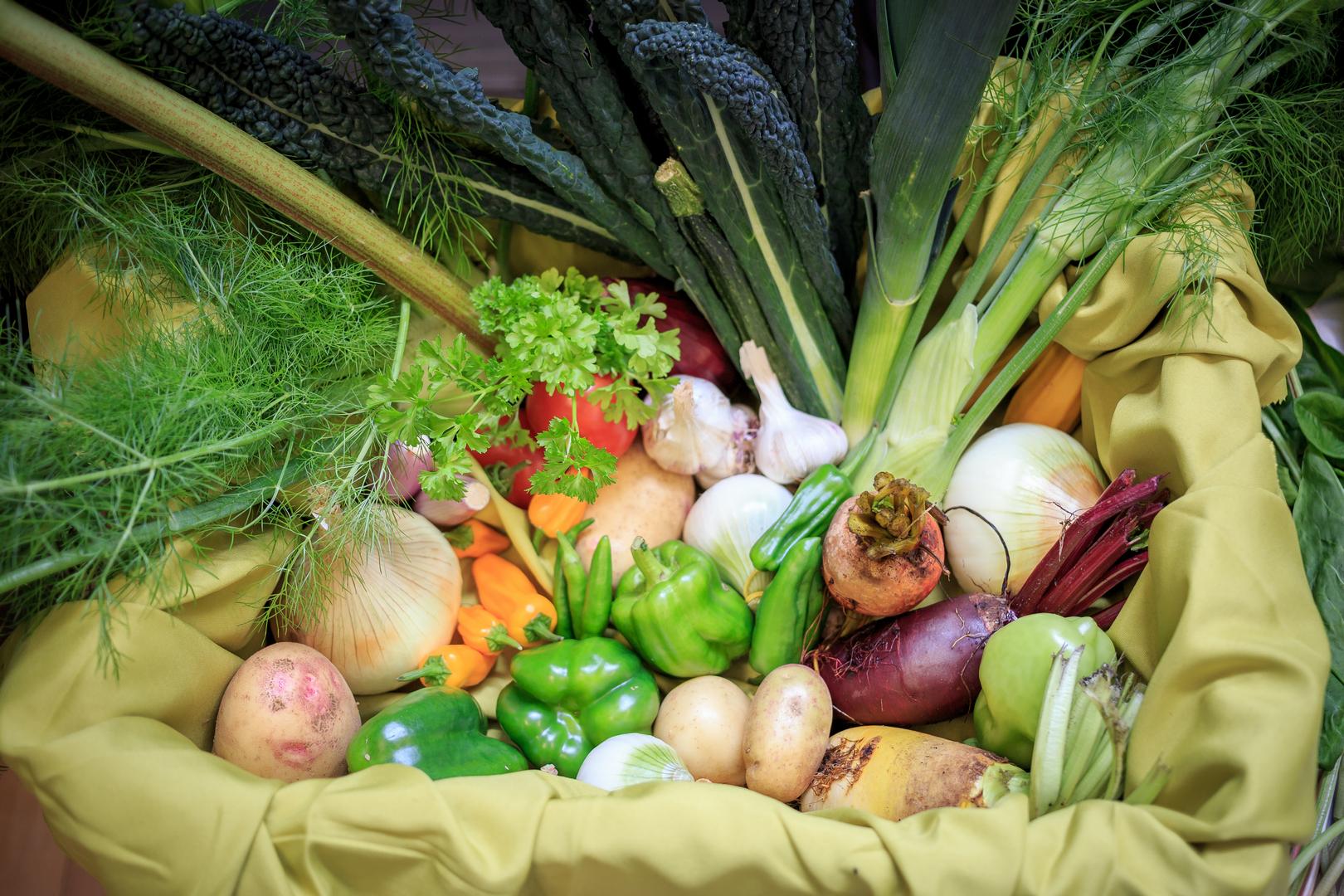 Entries on display at the WHAA annual produce show