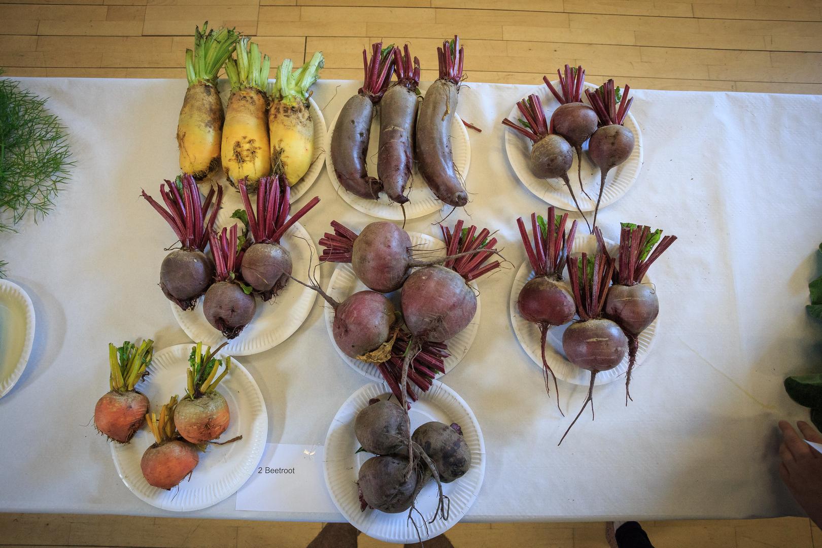 Prize-winning produce displayed at the WHAA annual show
